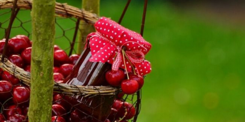 Višňový džem - 13 receptů na třešňový džem bez pecky a bez pecky